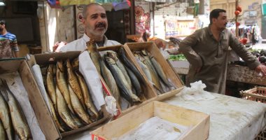 طرح سردين مجمد بـ20 جنيها للكيلو في منافذ المجمعات الاستهلاكية والرنجة 32