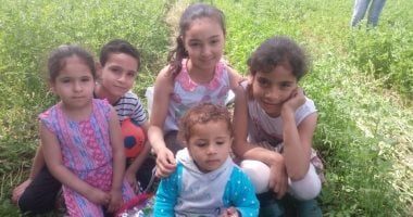 صور.. أبناء القرى بالشرقية يحتفلون بشم النسيم وسط الحقول