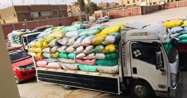 زراعة الشرقية: حصاد 148 ألف فدان قمح وتوريد 59 ألف طن