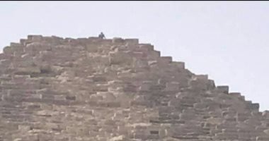 شاهد الشاب المصرى الذى صعد لقمة هرم خوفو وألقى بالحجارة على الزائرين