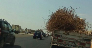 على محور الشهيد.. سيارة نقل تحمل أسياخ حديد تعرض حياة السائقين للخطر