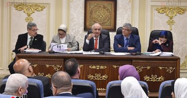 الجامعة المصرية اليابانية للنواب: اعتماد 664 مليون جنيه للإنشاءات غير كافٍ