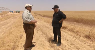 اليوم.. حمدى رزق يحاور وزير الزراعة وسط حقول القمح بغرب المنيا