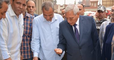 محافظ الدقهلية يتابع تسليم القمح بصومعة ميت غمر ويشدد على تيسير الإجراءات