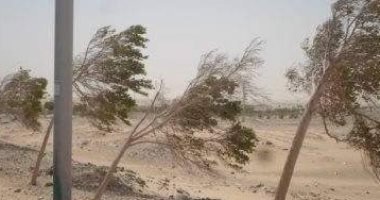 صور.. موجة طقس سئ ورياح محملة بالأتربة تجتاح الوادى الجديد