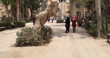 فيديو.. الحكومة تستعرض جهود الهيئة الهندسية للقوات المسلحة لتشجير مصر الجديدة