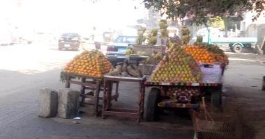 قارئ يشكو من انتشار الباعة الجائلين بحي شرق شبرا الخيمة