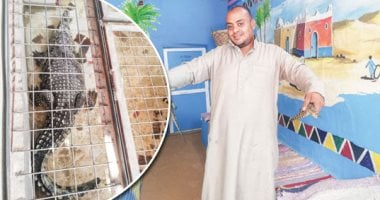 أحمد عادل 30عاما فى حب تماسيح أسوان: بحبهم أكتر من ولادى وهم مصدر رزقى