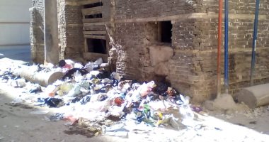 صور.. القمامة تحاصر منزل المناديلى ومسجد الشيخ تقه الأثرى فى البحيرة