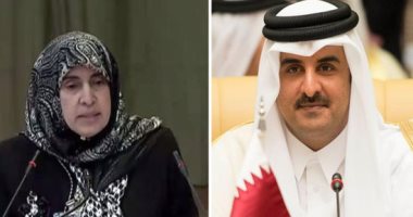فضائح "الحمدين"عرض مستمر.. السفيرة الإماراتية لدى هولندا أمام "العدل الدولية": الإمارات قطعت علاقاتها بالدوحة لأنها حاضنة للإرهابيين..وتسعى للضغط لاستعادة العلاقات معنا والقطريون يعيشون بأمان على أراضينا