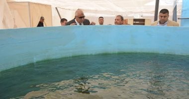 صور محافظ الوادي الجديد يتفقد مشروع الاستزراع السمكي بالخارجة بتكلفة 1.8 مليون جنيه 