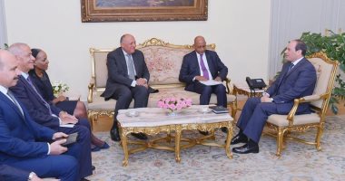 تفاصيل لقاء السيسى بمدير الاتحاد الأفريقى للتنمية.. الرئيس يؤكد دعم استراتيجيات وخطط الوكالة للمساهمة فى تنمية القارة الأفريقية.. "ماياكي" يشيد بالدور المصرى الفعال والقيادي فى صياغة برامج التنمية بأفريقيا