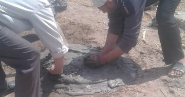 استجابه لـ" اليوم السابع" محافظ الغربية يأمر بغلق بيارة صرف صحى مفتوحة بالمحلة