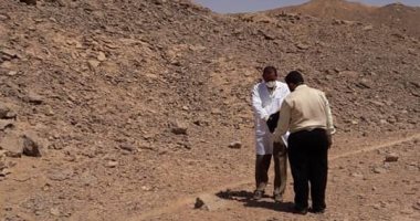 انتشار الكلاب الضالة تهدد حياة المواطنين بأسوان.. والطب البيطرى يشن حملات وقائية