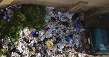 أكوام من القمامة والكلاب الضالة.. شكوى أهالى المنطقة الأولى بمدينة نصر