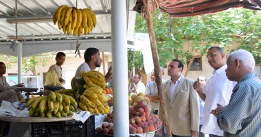 صور.. نائب محافظ الأقصر يتفقد المشروعات ورصف الطرق والأسواق الجديدة بـ3 مدن