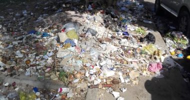 قارئ يشكو من تراكم القمامة بشارع عبد العزيز فهمى فى مصر الجديدة
