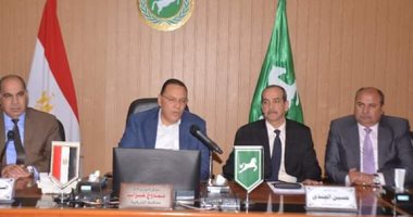 محافظ الشرقية: جدول زمنى لتنفيذ طلاء واجهات المبانى