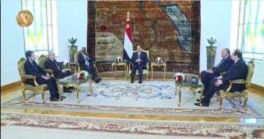 شاهد.. تفاصيل لقاء السيسى ورئيس جنوب إفريقيا الأسبق ورئيس برلمان غانا
