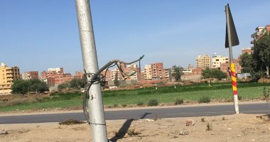فيديو وصور.. اضبط مخالفة.. كابلات وأسلاك عارية على "طريق المحلة –المنصورة"