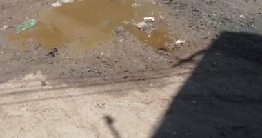 شكوى من عدم وجود شبكة صرف صحى بكفر أحمد برهام بالشرقية