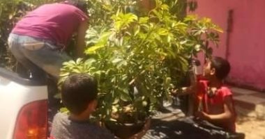 شباب وأطفال قرية دروة بالمنوفية ينظمون حملة لنظافة وتشجير الشوارع