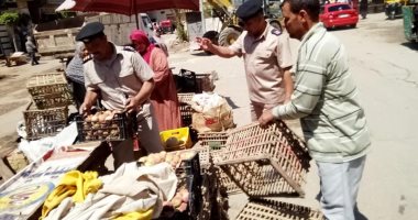 إزالة 21 حالة تعد على الأراضى ورفع القمامة وصيانة الأعمدة بكفر الشيخ والغربية