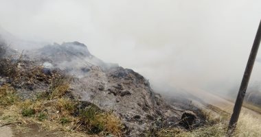 صور .. إصابة 17 شخص بالاختناق إثر اندلاع حريق بمخلفات زراعية بكفر الدوار