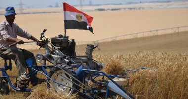 "زراعة الإسماعيلية": وردنا 40 ألف و500 طن قمح.. والعمل متواصل خلال رمضان
