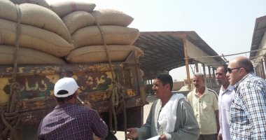 صور.. بدء استلام تقاوى القمح والشعير والفول استعدادًا للموسم الجديد