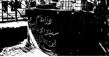 ابن هشام الأنصارى كتب مؤلفا فى الأعراب وفقده فى رحلته لـ مصر