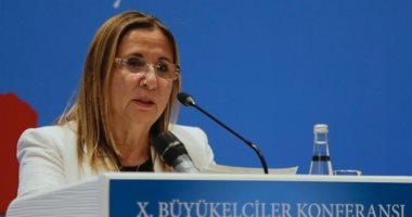 تركيا: قرار أمريكا بإنهاء المعاملة التجارية التفضيلية متناقض