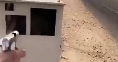 رادار المرور يضبط 1740 سيارة تسير بسرعات جنونية بالطرق الرابطة بين المحافظات