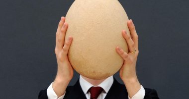 مش بس مدحرج.. أغلى 5 أنواع بيض على مستوى العالم سعرها يصل لـ12.6 مليون يورو