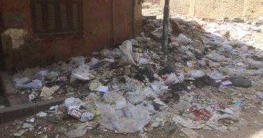 شكوى من تراكم القمامة بشارع الخليل إبراهيم بالجيزة.. والأهالى يطالبون بصناديق