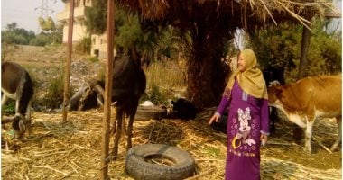 تمويل 351 مشروعًا صغيرًا ومتناهى الصغر فى 14 محافظة بقروض 3 ملايين جنيه‎