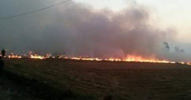 صور.. حريق القمامة فى العبور خطر حقيقى يدمر البيئة والسكان