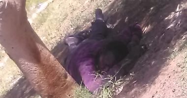 احنا معاك.. مشرد يحتاج لرعاية بجوار مدرسة الثانوية بنات بالحى السابع بأكتوبر