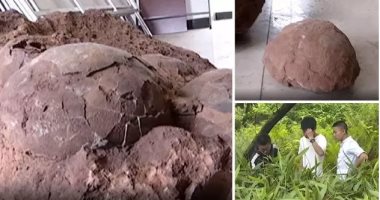 لن تصدق ما عثر عليه 4 طلاب صينيين.. اكتشاف يعود لملايين السنين