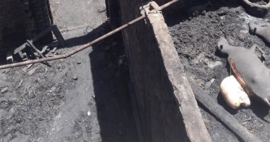 صور.. نفوق 22 حيوانا فى 3 حرائق متفرقة بسوهاج