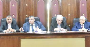 صور.. النائبة سيلفيا نبيل: موازنة البرامج والأداء لوزارة القوى العاملة جيدة جدا