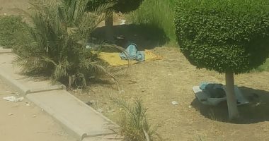 سوء استخدام الحدائق والمتنزهات بالشيخ زايد يزعج بعض الأهالى