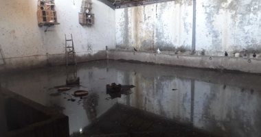 صور.. اضبط مخالفة.. حظائر "المواشى" بالقابوطى تغرق فى مياه المجارى