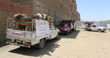 صور .. منظمة "الفاو" تسلم 60 مشروعاً إنتاجياً للأسر غير القادرة بكوم أمبو