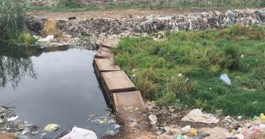صور.. شكاوى من انسداد مصرف زفتى بسبب إلقاء القمامة والحيوانات النافقة