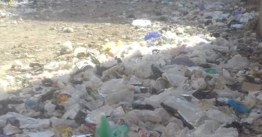 عدم وجود صناديق جمع القمامة يساهم فى انتشار القمامة بعين شمس