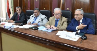 رئيس "الرقابة المالية": قانون تنظيم الهيئة الجديد استحقاق دستورى