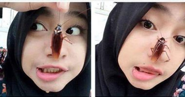 سيب الصرصار على وشك.. تحدى جديد على السوشيال ميديا .. تقدر تعمله 