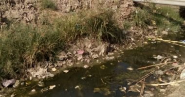 أهالى قرية أبورقبة بالمنوفية يشكون انسداد الترعة ويطابلون بتطهيرها