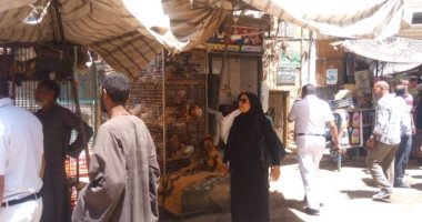 مدينة إسنا تشن حملات على الأسواق وتحرر 21 محضرًا وتضبط أغذية فاسدة